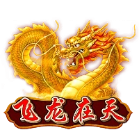 飞龙在天