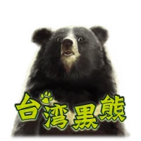 台湾黑熊